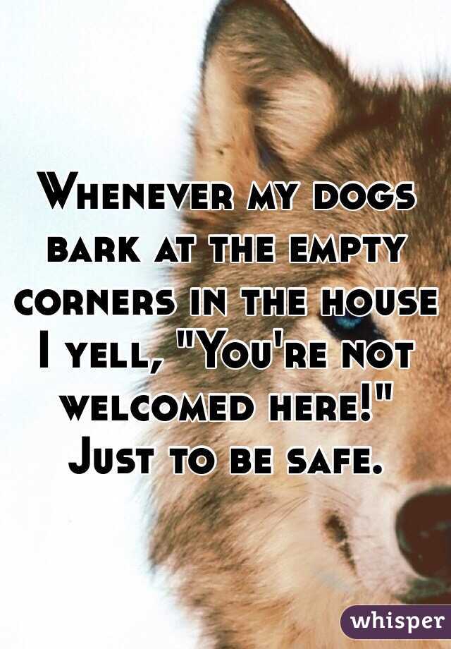 Whenever my dogs bark at the empty corners in the house I yell, "You're not welcomed here!" Just to be safe.
