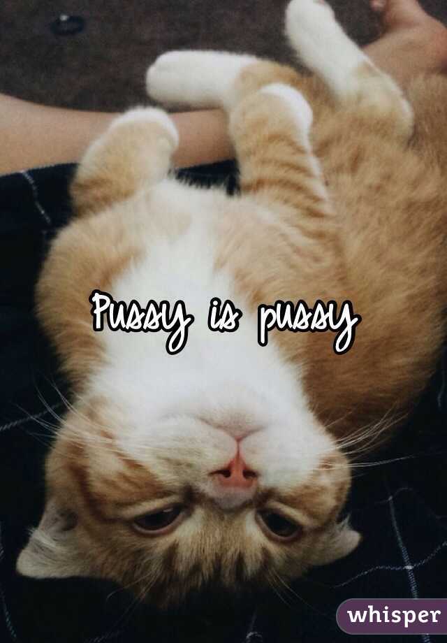 Pussy is pussy