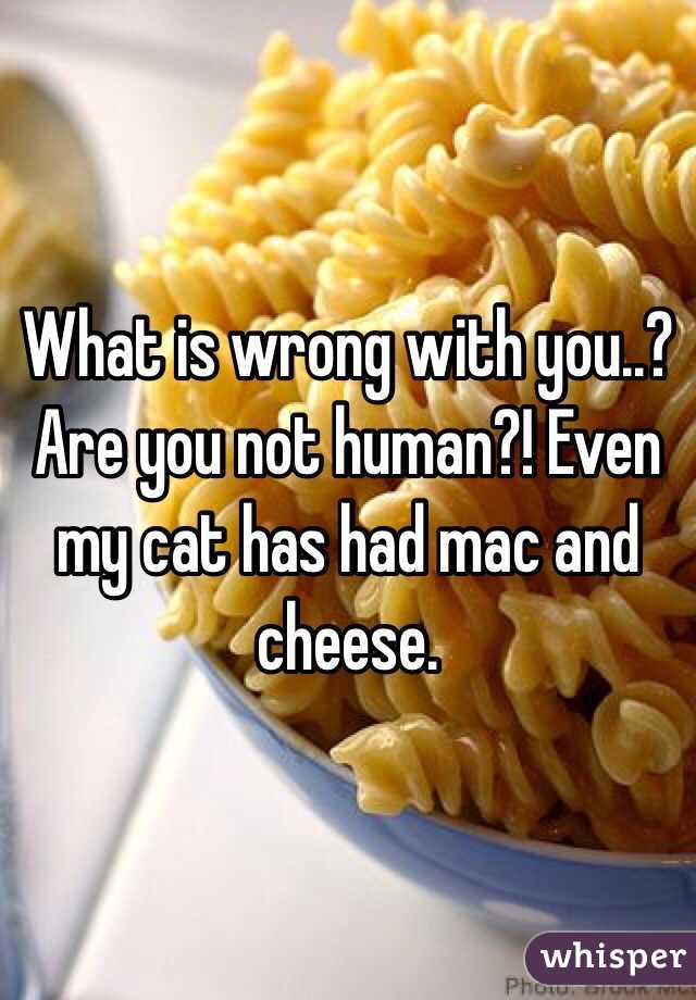 What is wrong with you..? Are you not human?! Even my cat has had mac and cheese.