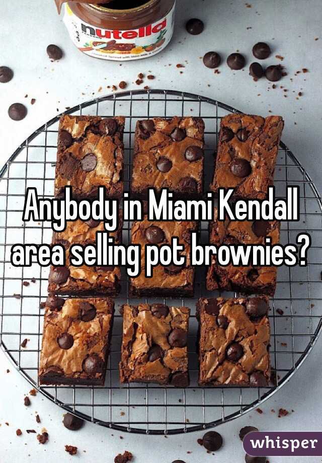 Anybody in Miami Kendall area selling pot brownies?