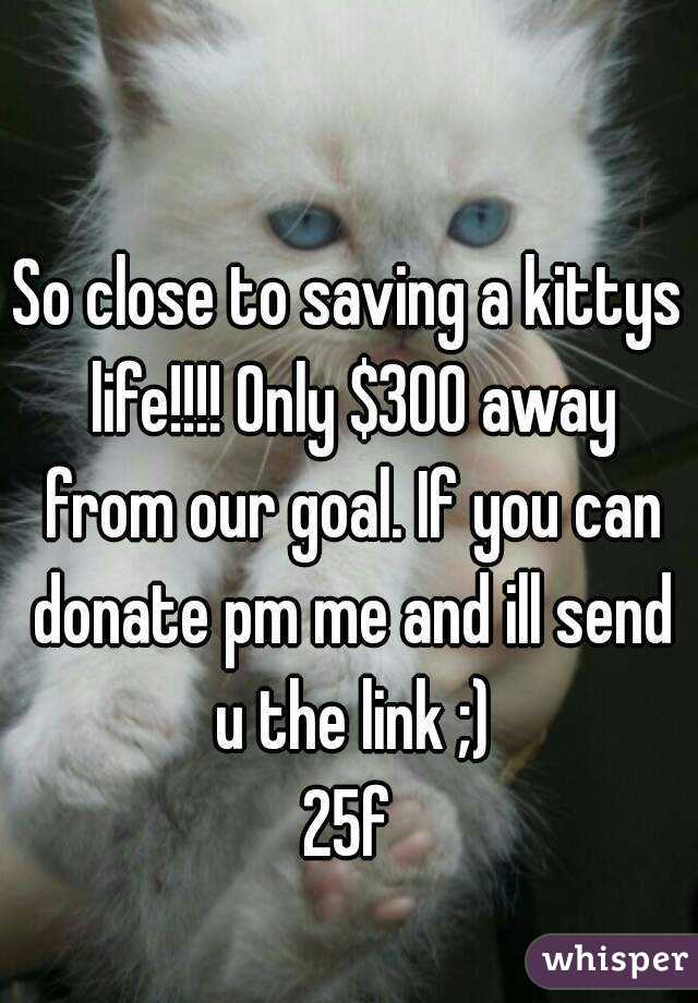 So close to saving a kittys life!!!! Only $300 away from our goal. If you can donate pm me and ill send u the link ;)
25f