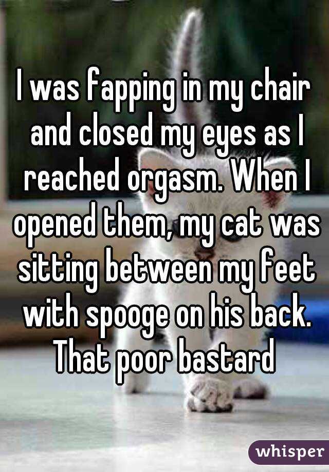 I was fapping in my chair and closed my eyes as I reached orgasm. When I opened them, my cat was sitting between my feet with spooge on his back. That poor bastard 