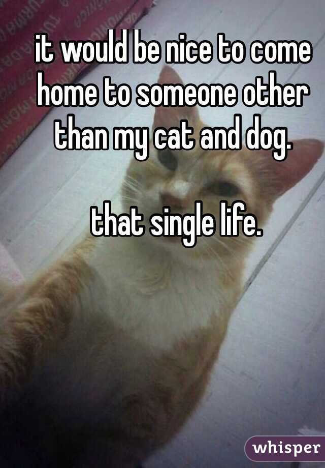 it would be nice to come home to someone other than my cat and dog. 

 that single life.

