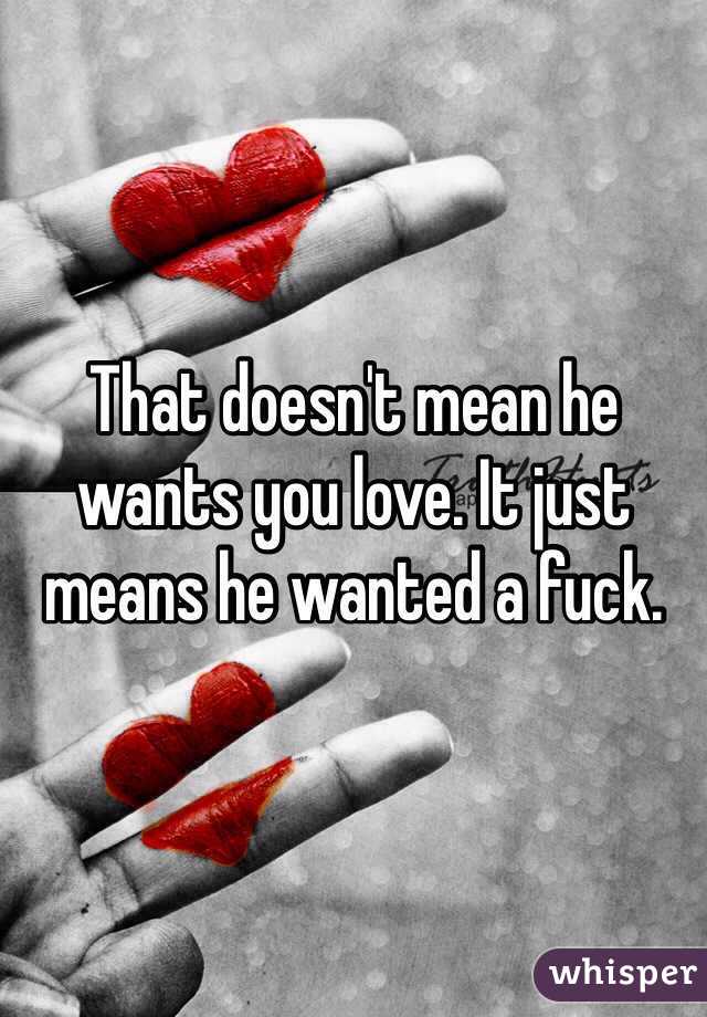 That doesn't mean he wants you love. It just means he wanted a fuck.