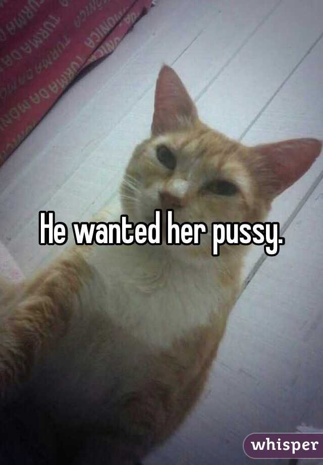 He wanted her pussy.