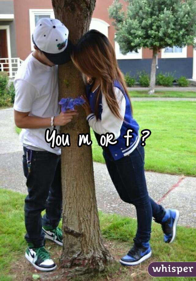 You m or f ?