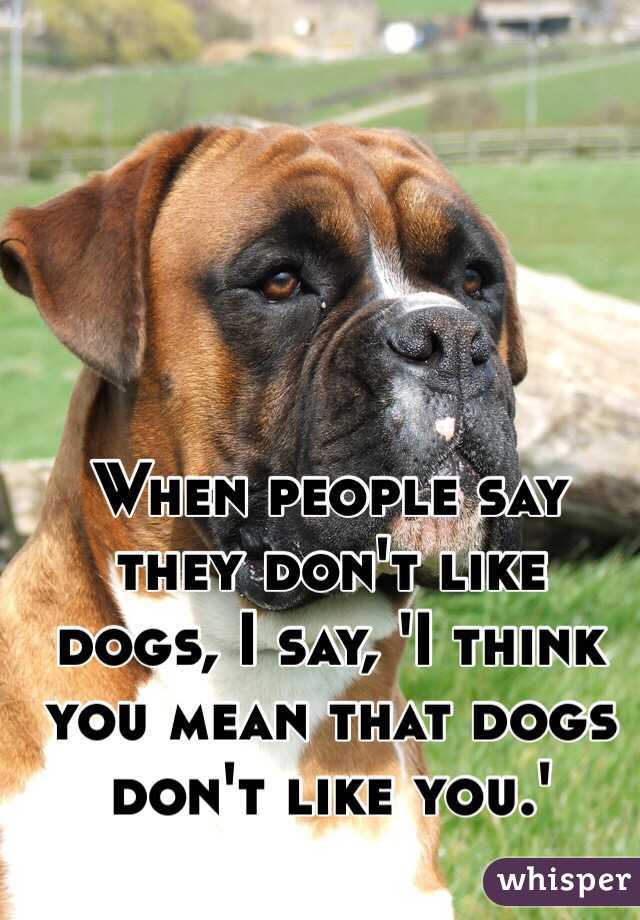 When people say they don't like dogs, I say, 'I think you mean that dogs don't like you.'
