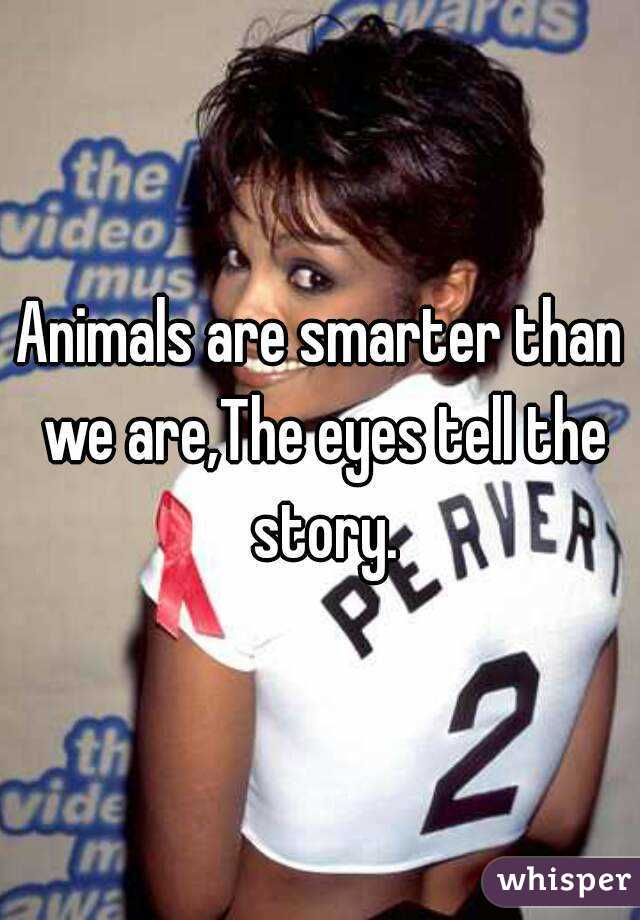 Animals are smarter than we are,The eyes tell the story.


