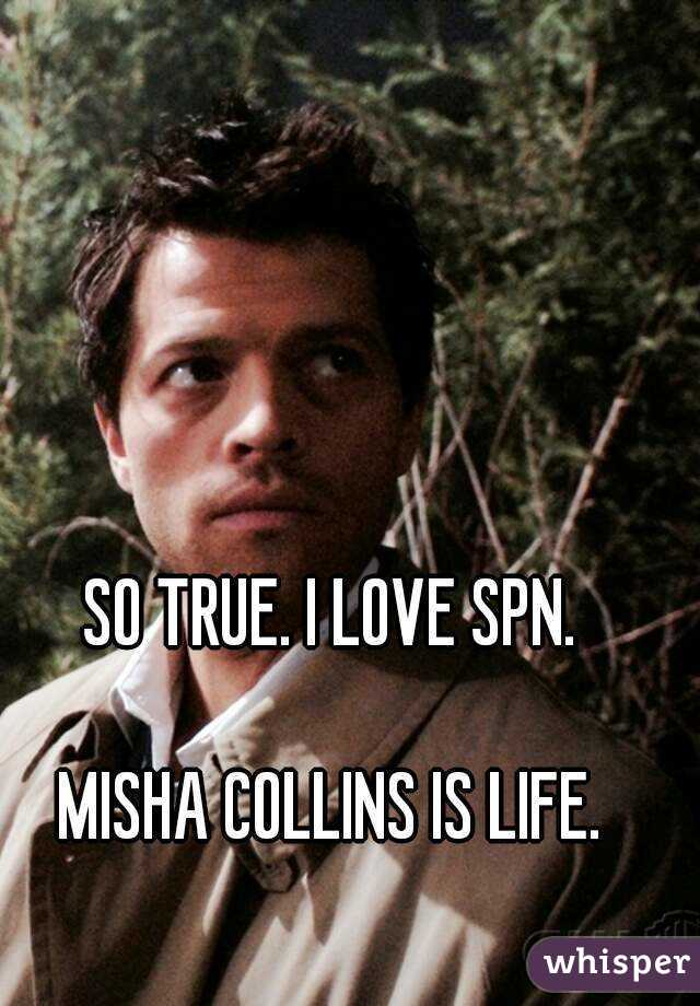 SO TRUE. I LOVE SPN.

MISHA COLLINS IS LIFE.