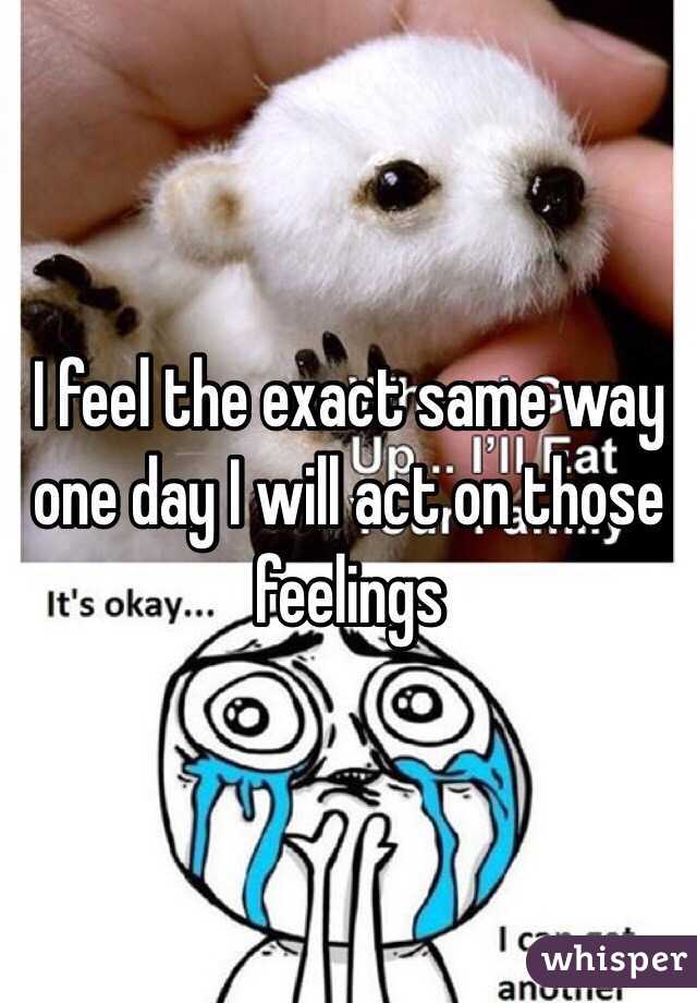 I feel the exact same way one day I will act on those feelings 