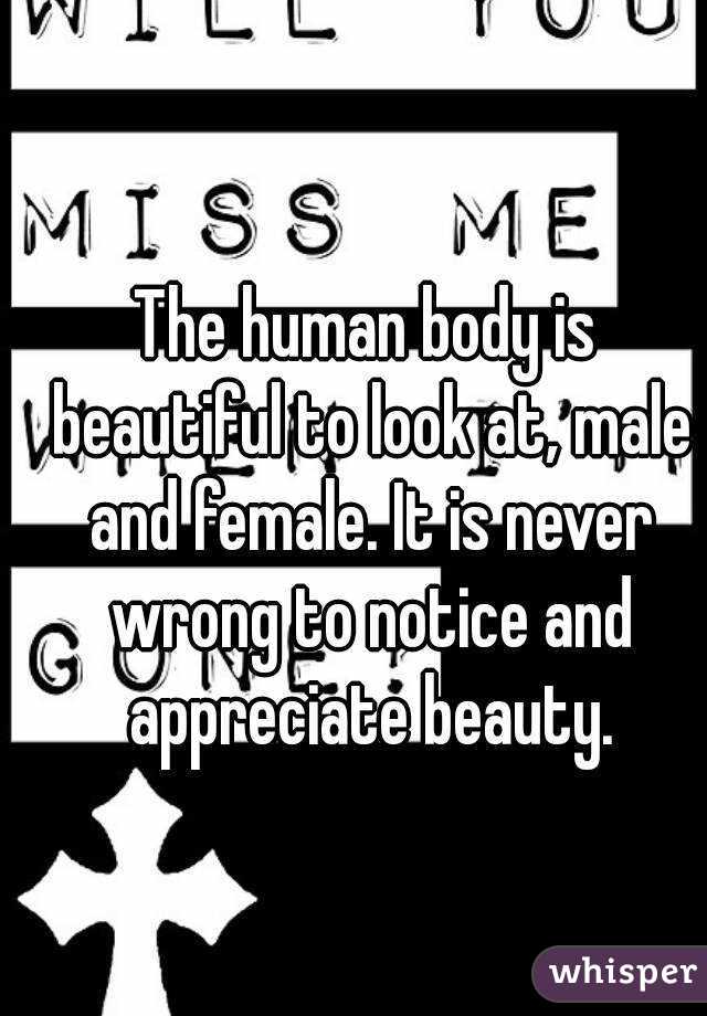 The human body is beautiful to look at, male and female. It is never wrong to notice and appreciate beauty.