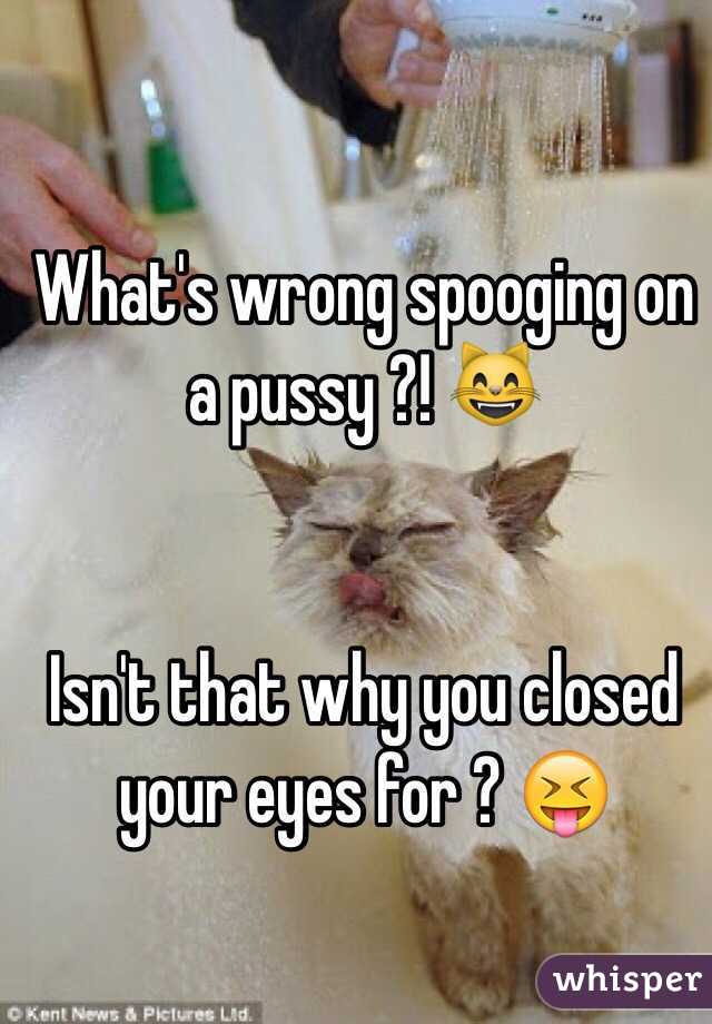 What's wrong spooging on a pussy ?! 😸


Isn't that why you closed your eyes for ? 😝