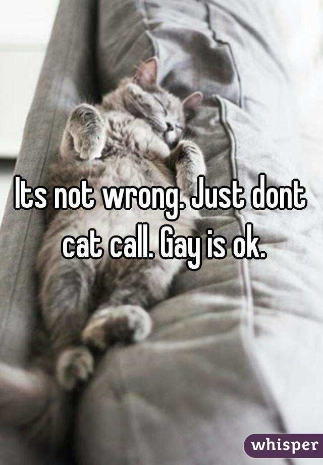 Its not wrong. Just dont cat call. Gay is ok.