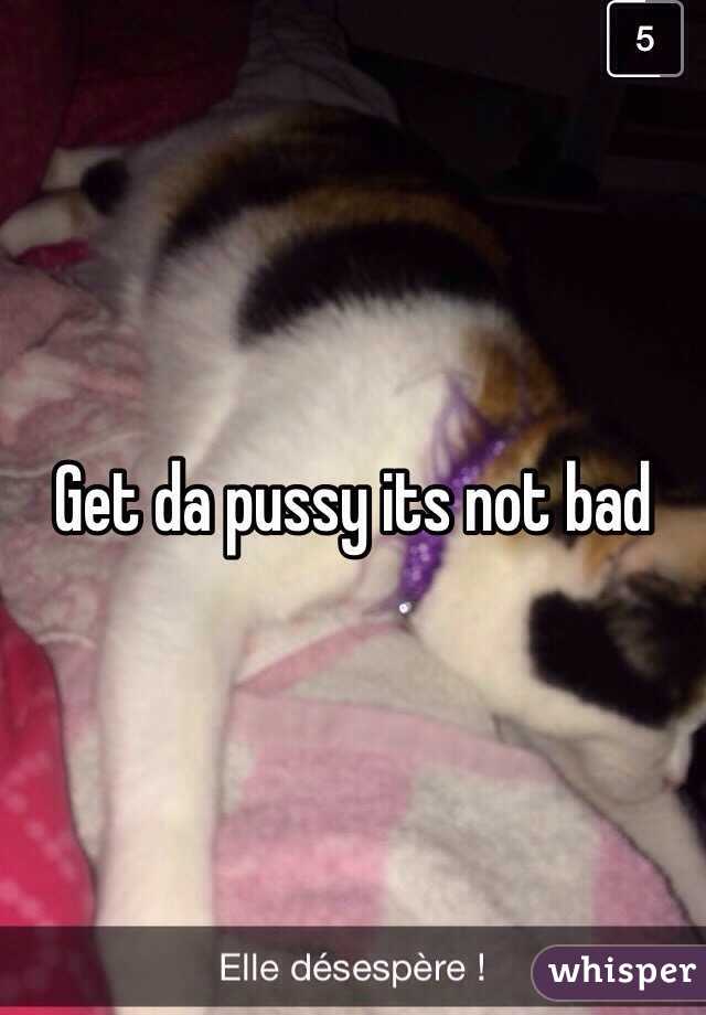 Get da pussy its not bad