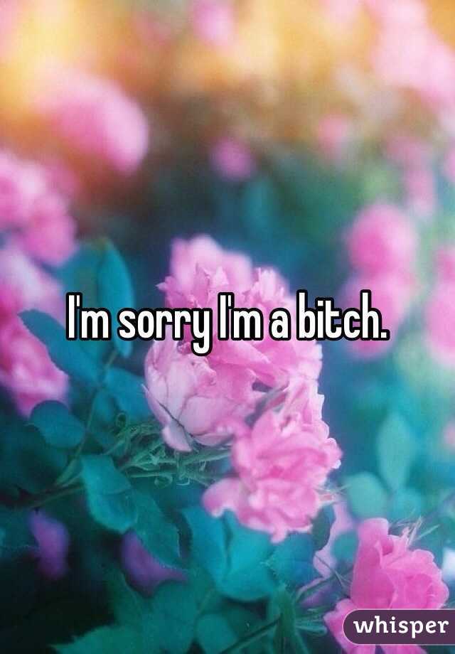 I'm sorry I'm a bitch.