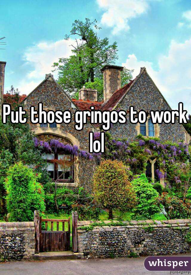 Put those gringos to work lol