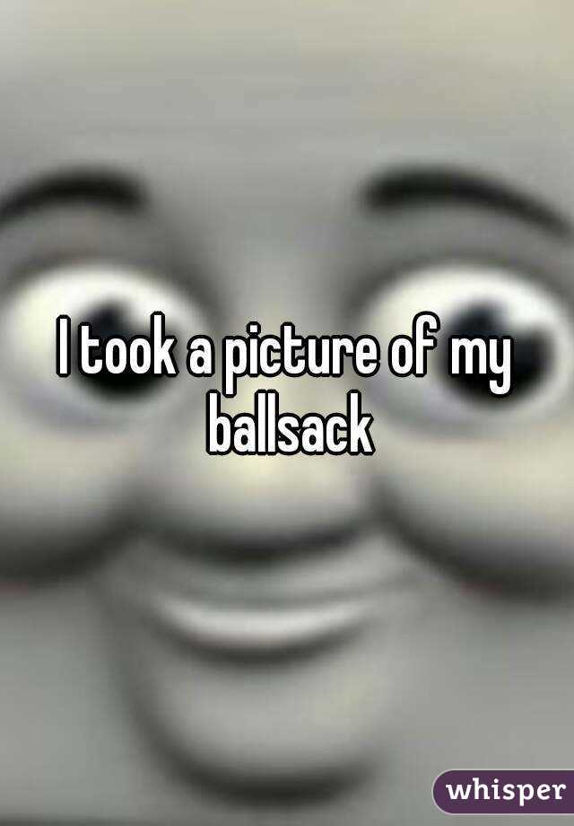 I took a picture of my ballsack