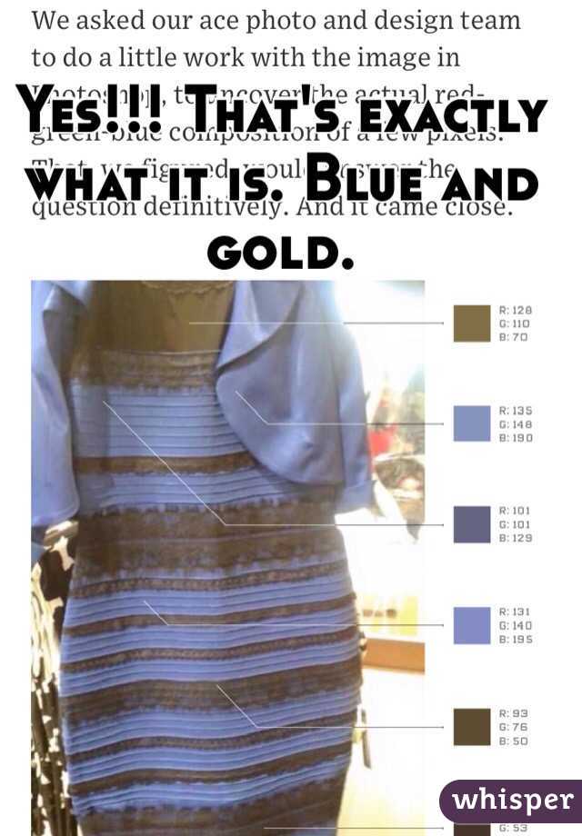 Yes!!! That's exactly what it is. Blue and gold. 