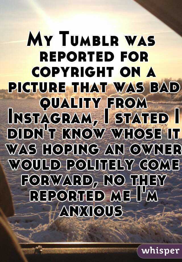 My Tumblr was reported for copyright on a picture that was bad quality from Instagram, I stated I didn't know whose it was hoping an owner would politely come forward, no they reported me I'm anxious 