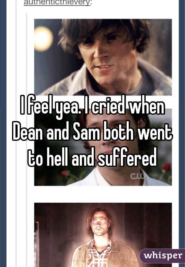 I feel yea. I cried when Dean and Sam both went to hell and suffered 