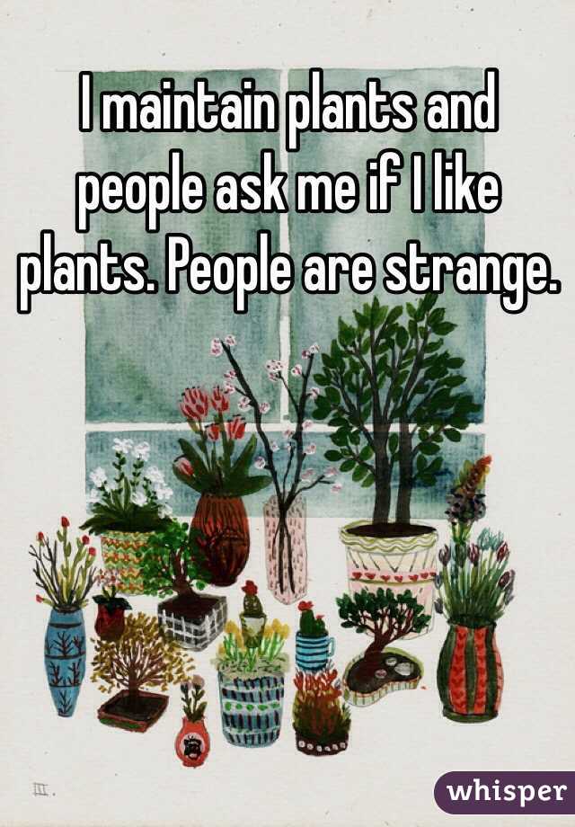 I maintain plants and people ask me if I like plants. People are strange.