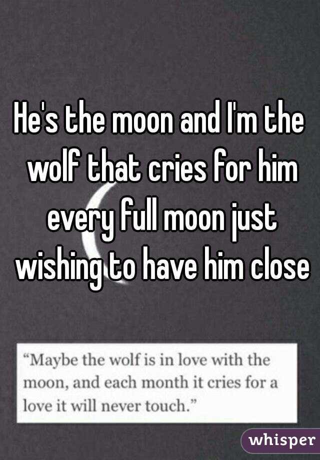 He's the moon and I'm the wolf that cries for him every full moon just wishing to have him close 