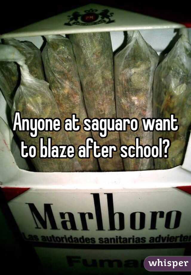 Anyone at saguaro want to blaze after school? 