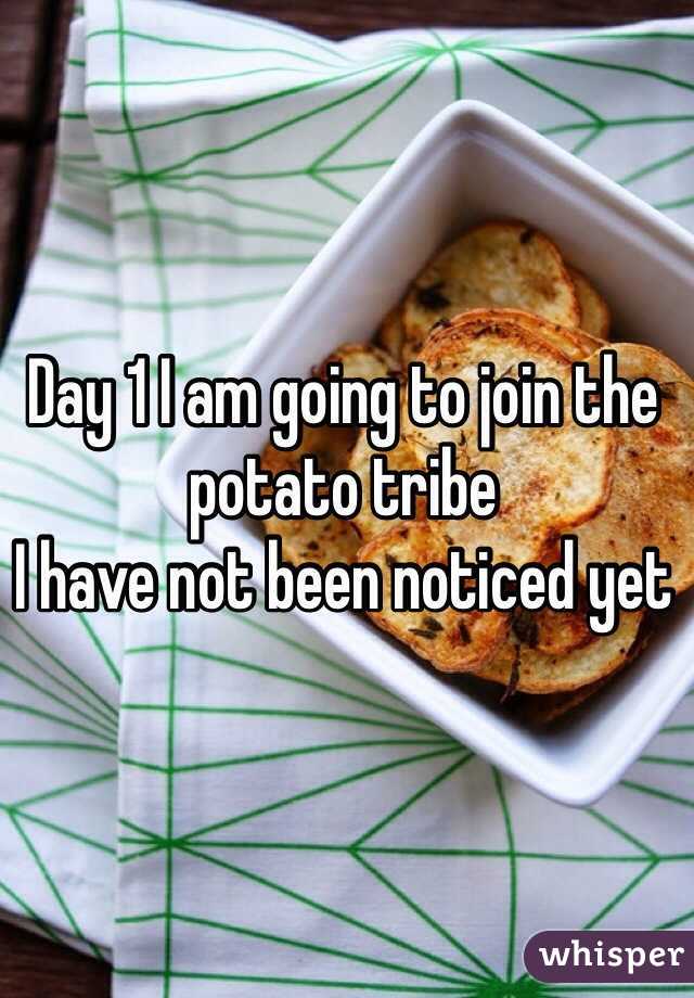 Day 1 I am going to join the potato tribe
I have not been noticed yet