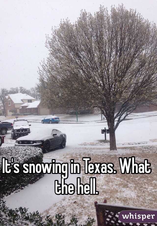 It's snowing in Texas. What the hell. 