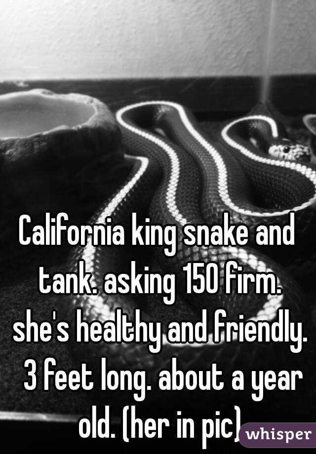 California king snake and tank. asking 150 firm. she's healthy and friendly.  3 feet long. about a year old. (her in pic)