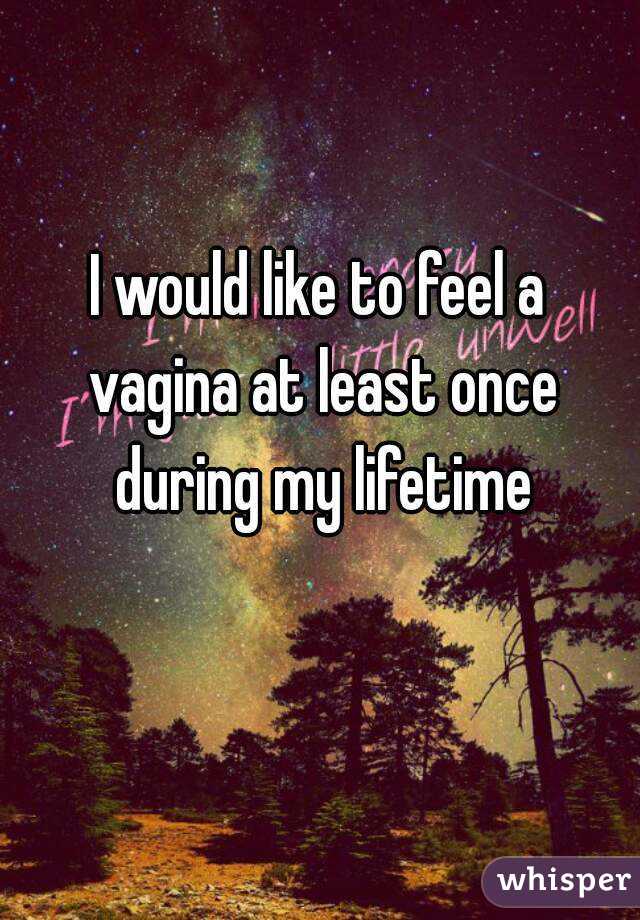 I would like to feel a vagina at least once during my lifetime