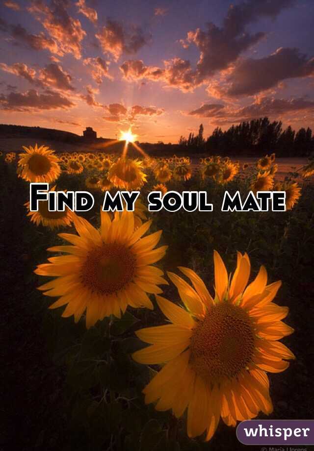 Find my soul mate 