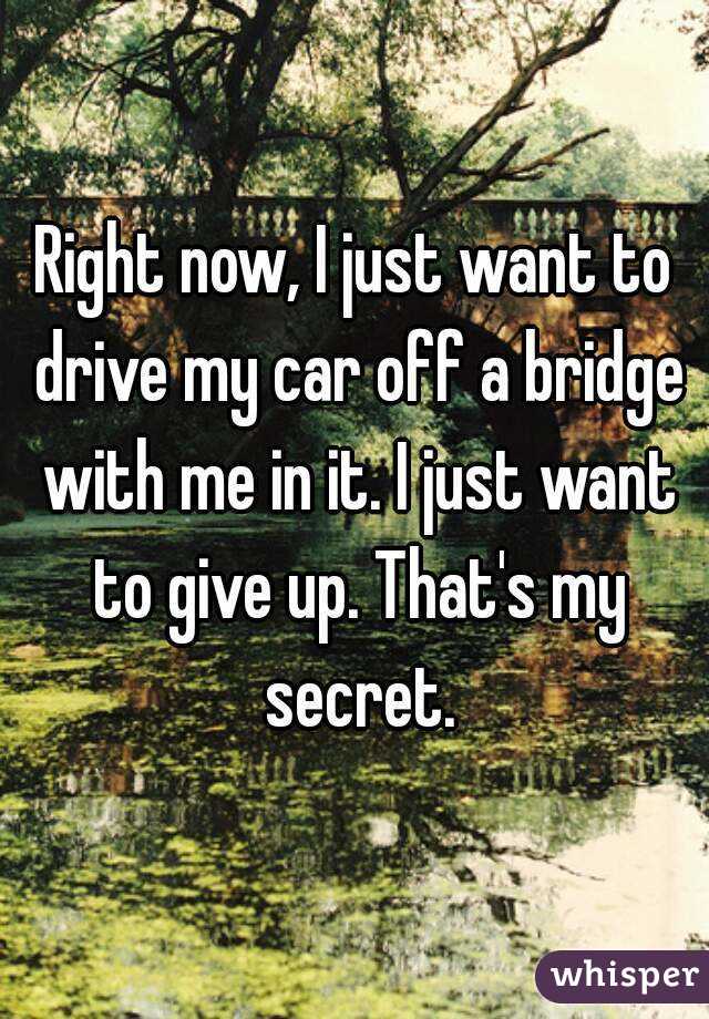 Right now, I just want to drive my car off a bridge with me in it. I just want to give up. That's my secret.