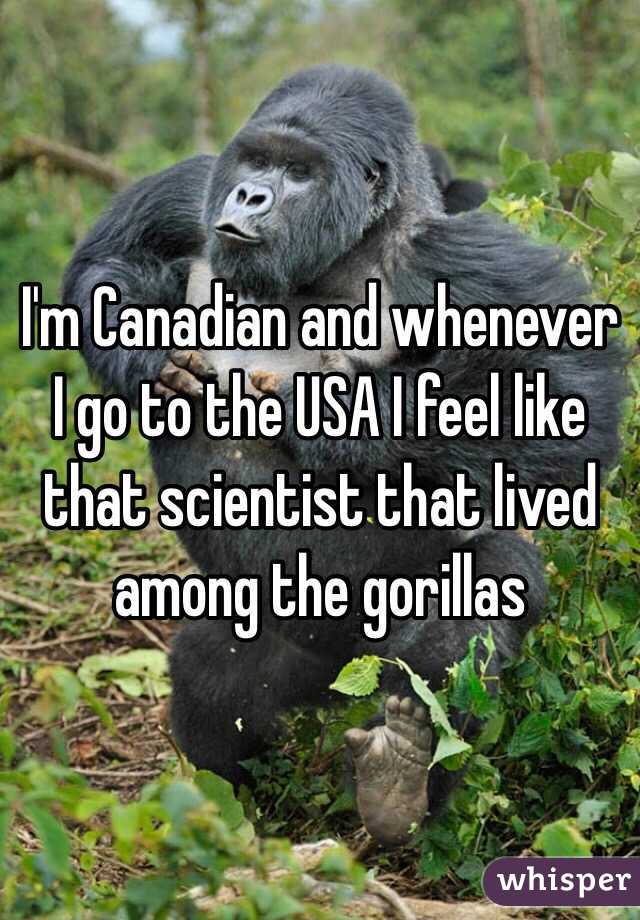 I'm Canadian and whenever I go to the USA I feel like that scientist that lived among the gorillas