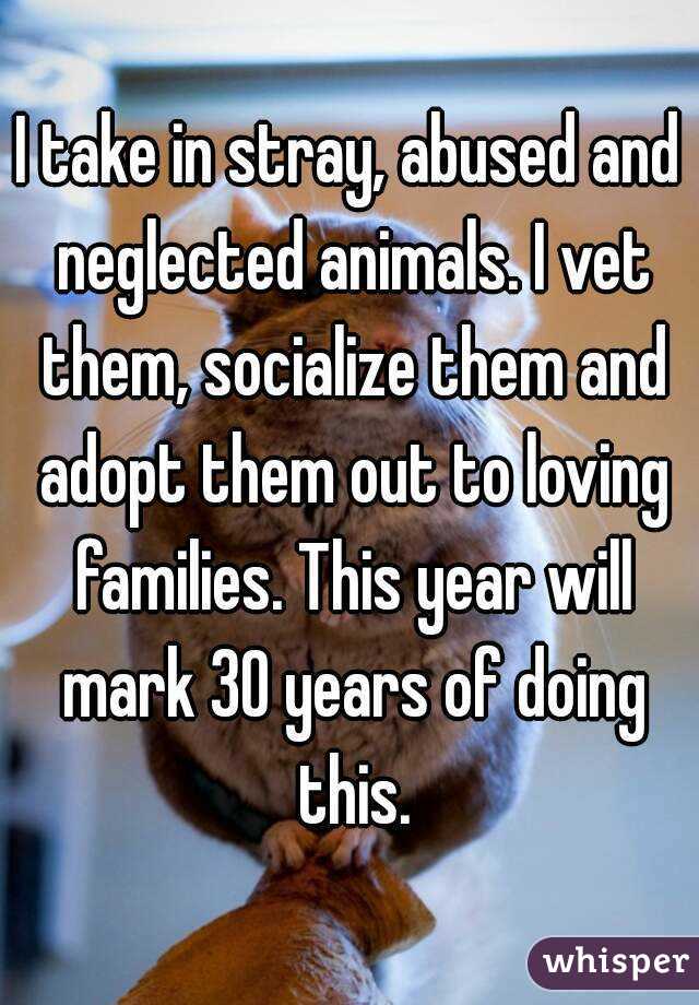 I take in stray, abused and neglected animals. I vet them, socialize them and adopt them out to loving families. This year will mark 30 years of doing this.