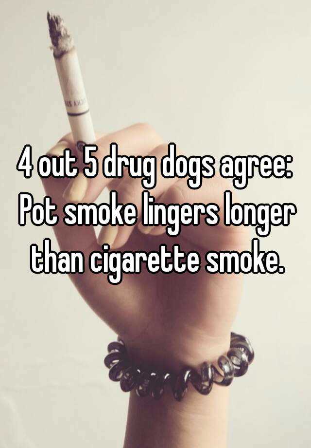 4-out-5-drug-dogs-agree-pot-smoke-lingers-longer-than-cigarette-smoke