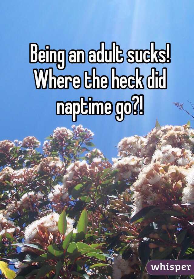 Being an adult sucks! Where the heck did naptime go?!