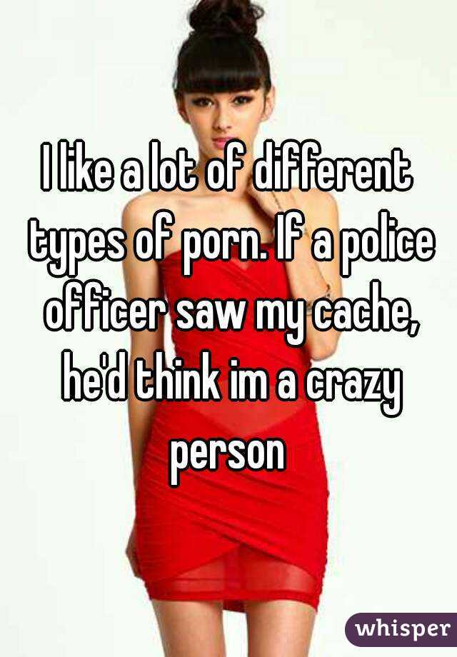 I like a lot of different types of porn. If a police officer saw my cache, he'd think im a crazy person 