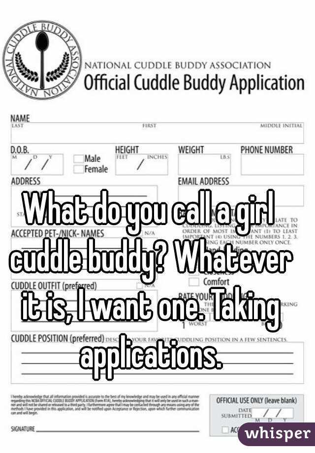 What do you call a girl cuddle buddy? Whatever it is, I want one. Taking applications.