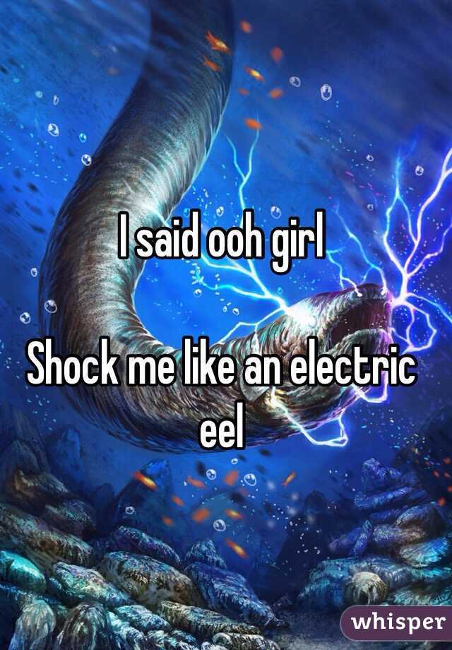 Eel Girl Shock
