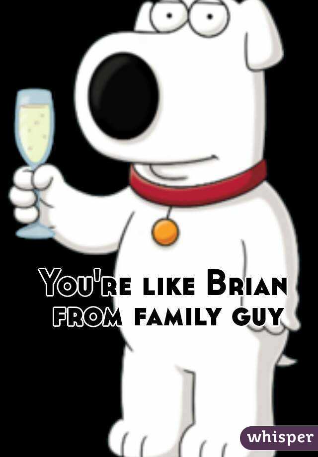 You're like Brian from family guy