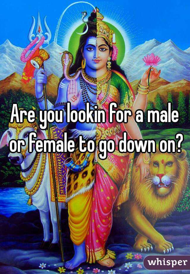 Are you lookin for a male or female to go down on?