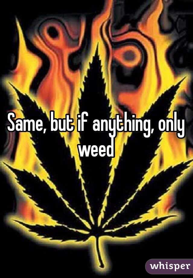 Same, but if anything, only weed