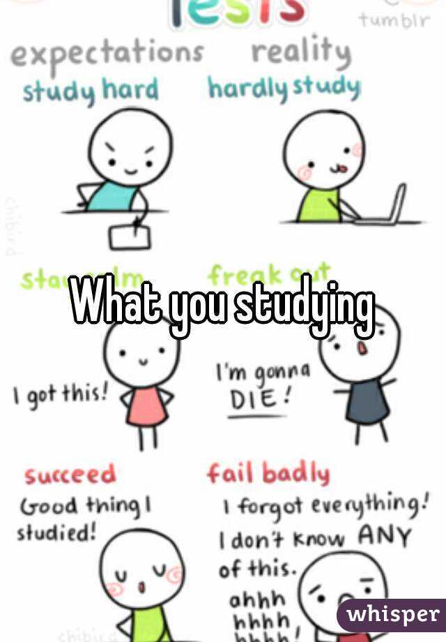 What you studying