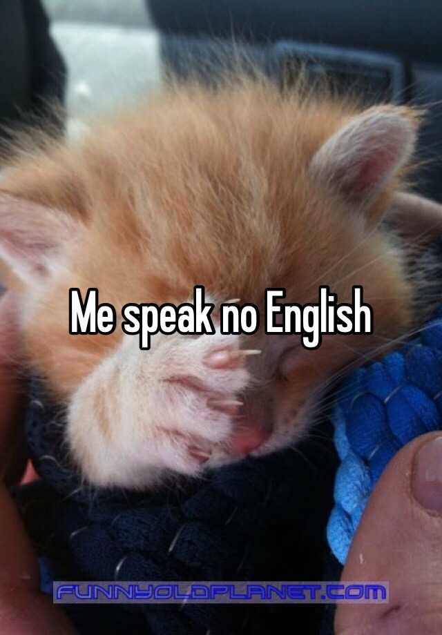 How Do You Say Me Speak No English In Spanish