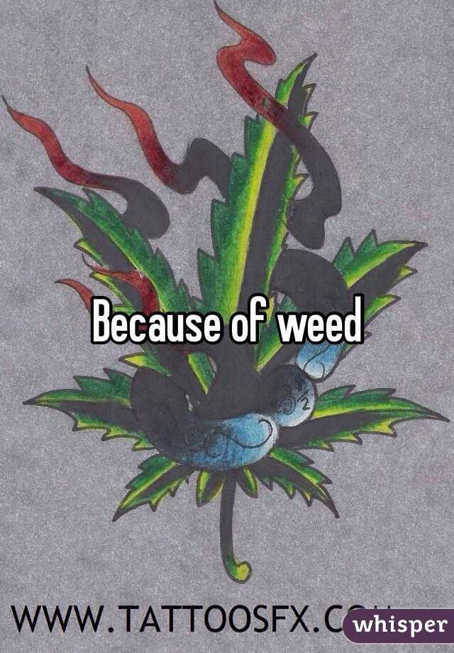 Because of weed