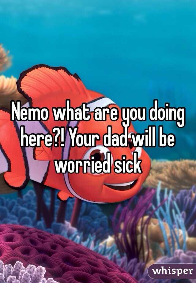 Nemo what are you doing here?! Your dad will be worried sick