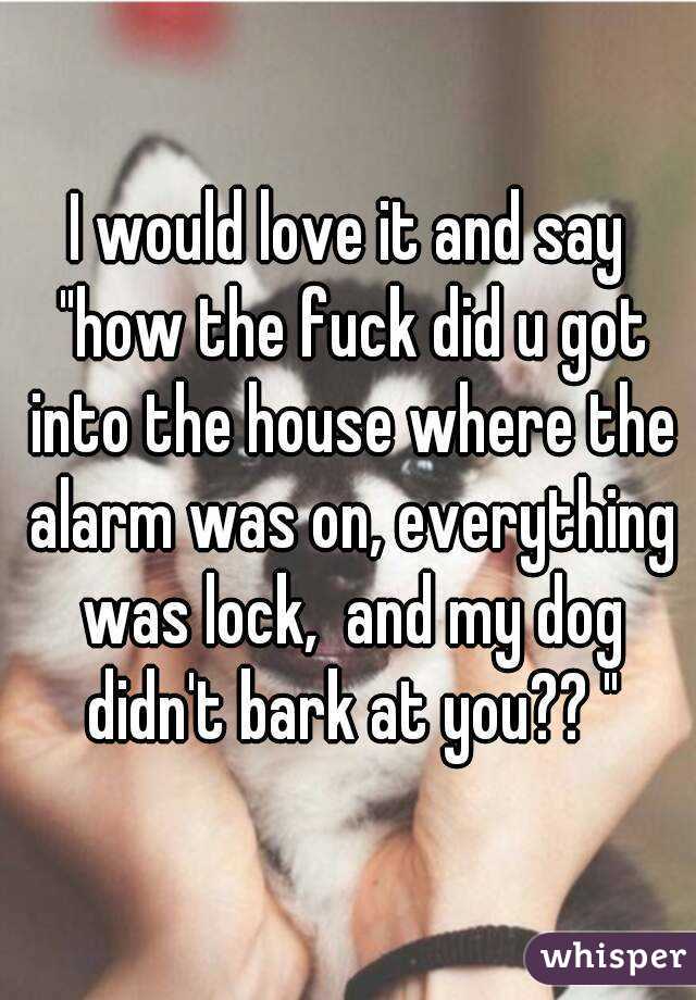 I would love it and say "how the fuck did u got into the house where the alarm was on, everything was lock,  and my dog didn't bark at you?? "