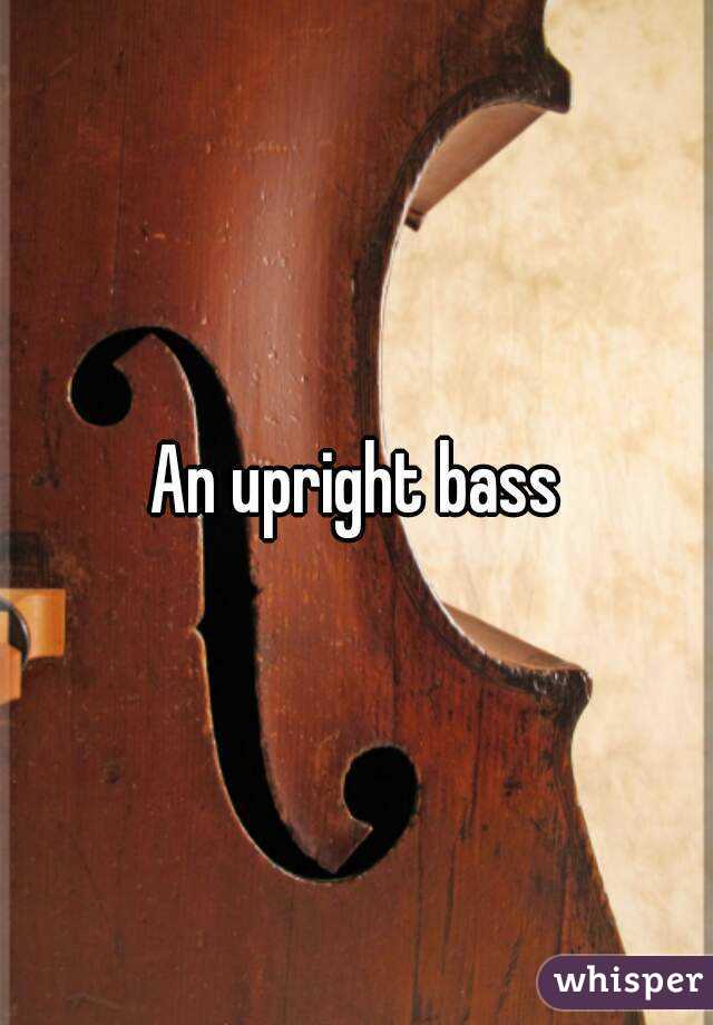 An upright bass