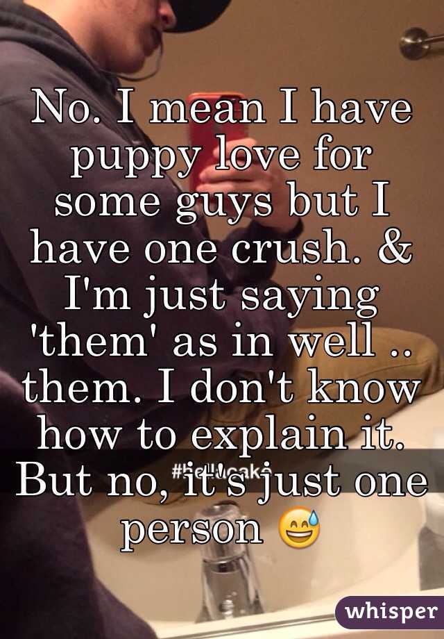 No. I mean I have puppy love for some guys but I have one crush. & I'm just saying 'them' as in well .. them. I don't know how to explain it. But no, it's just one person 😅